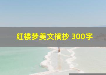 红楼梦美文摘抄 300字